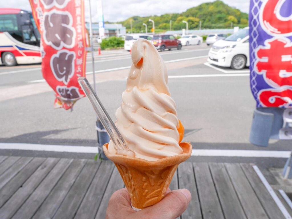 千葉のご当地グルメ(びわソフトクリーム)