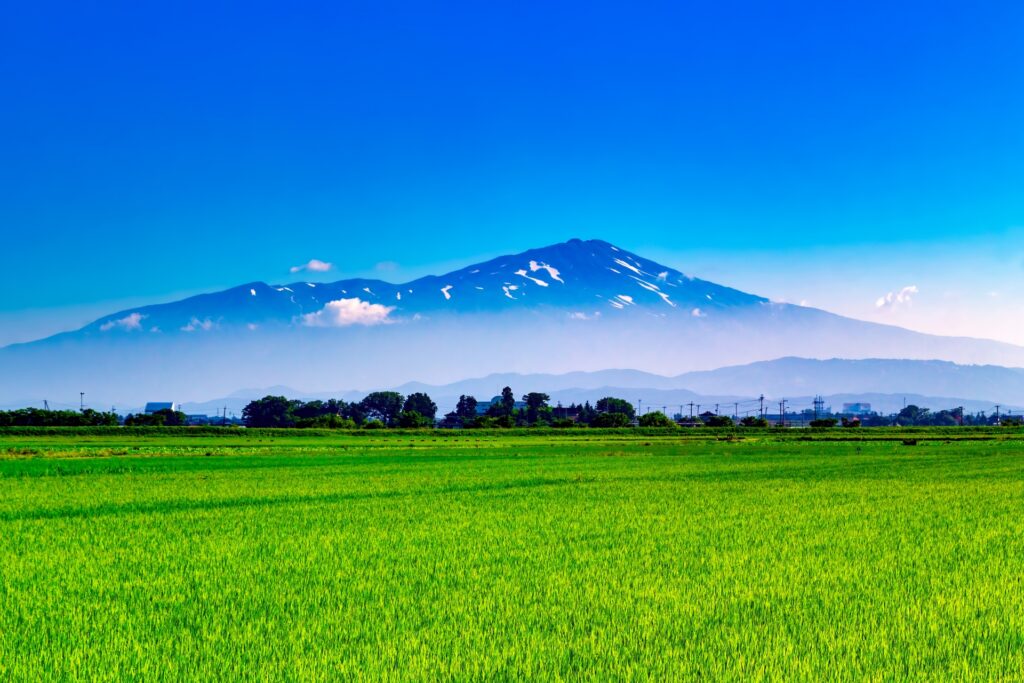 山形のご当地グルメ