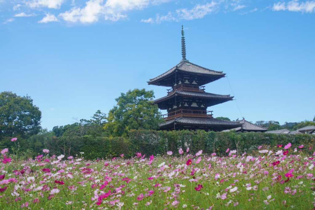奈良の法起寺